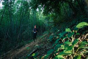 BIB: 
                            <button type="button" onclick="openModal(28124936)" class="btn btn-primary btn-sm float-right btn-popup" data-toggle="modal" data-target=".modal-high-quality">
                        <i class="fas fa-shopping-cart"></i> Add to Cart
                    </button>
                                            <button type="button" onclick="isThisMe(28124936, true)" class="btn btn-success btn-sm float-right btn-popup btn-isme hidden" data-toggle="tooltip" data-placement="bottom" title="นี่คือรูปของคุณใช่ไหม คลิกที่นี่เพื่อเอาเข้าอัลบั้ม">
                        <i class="fas fa-plus"></i> Add to album
                    </button>
                    <button type="button" onclick="isThisMe(28124936, false)" class="btn btn-warning btn-sm float-right btn-popup btn-isnotme hidden">
                        <i class="fas fa-ban"></i> Remove from album
                    </button>